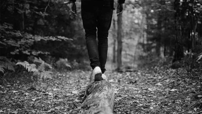 Person balancing on a tree trunk in a green forest full of leaves and ferns.