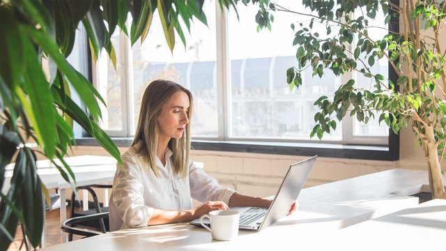 Woman concentrating on her laptop in bright surroundings with large indoor plants.